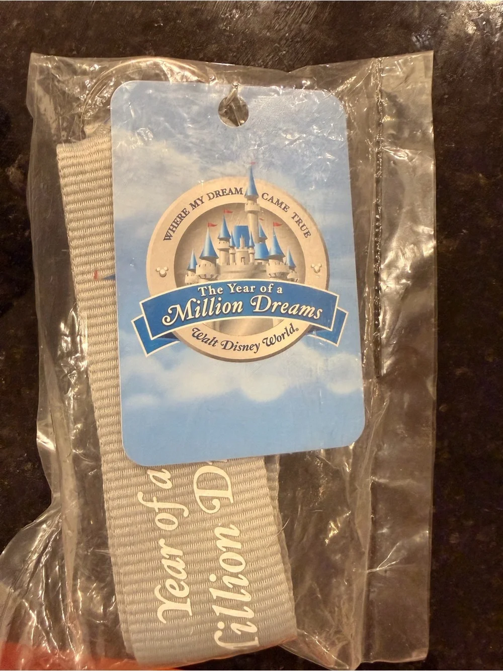 Disney Year of a Million Dreams Lanyard 2-Pin Set